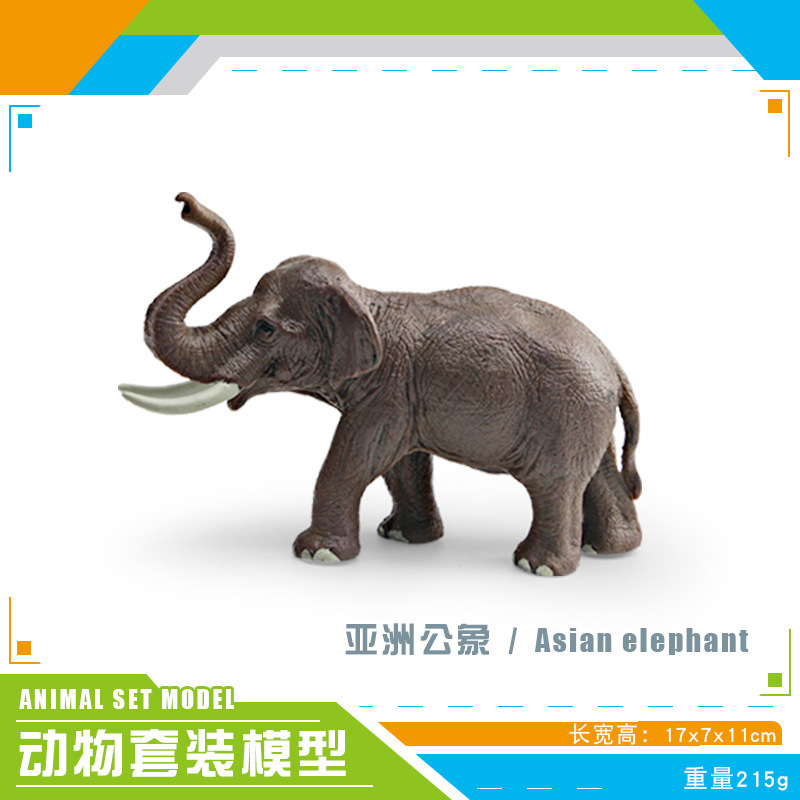 Pl127 - 016 elefante macho Asiático 215g