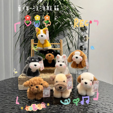 �Ȍ�С������ż�[����Ȯ���ߵع���ë�q������鹫�Ѓ�ͯ������