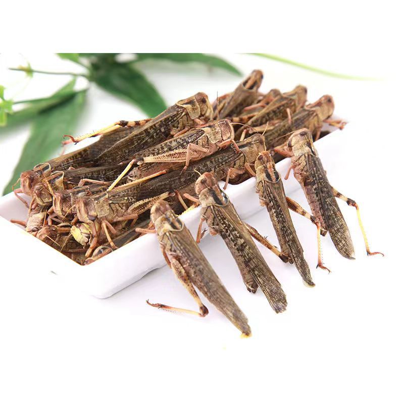 D55B40F366EA9129541667C41D3BE4