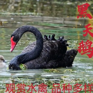 �����Z�Bֳ���۳�������Z�N�Z�����Z�µ��Z�r������Z���w�Ј��r