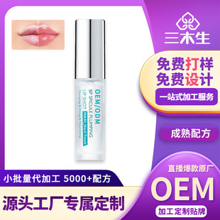 Kindergarten Cross-Border Hot Product Amazon Oem Customized Processing Lip Essence Korean Plumping Liquid Lip Gloss Lip Glaze Lips