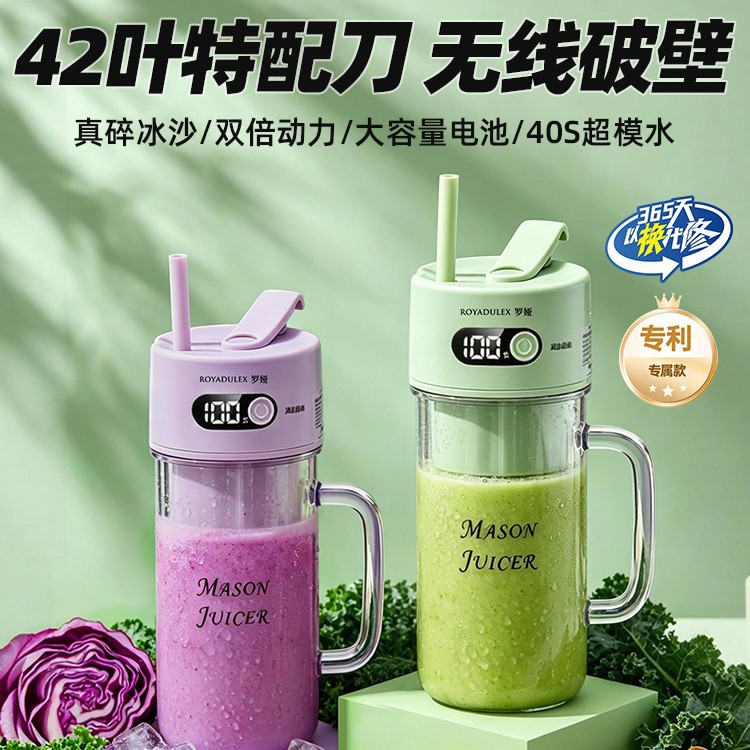 Portable Mini Juicer