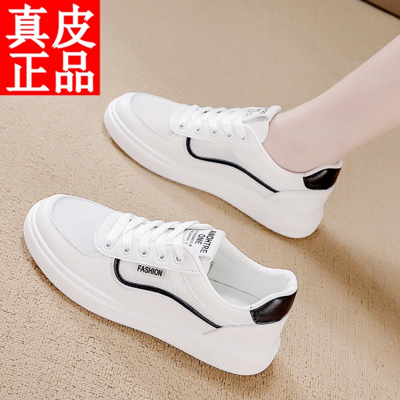 Mặt lưới màu đen / 35