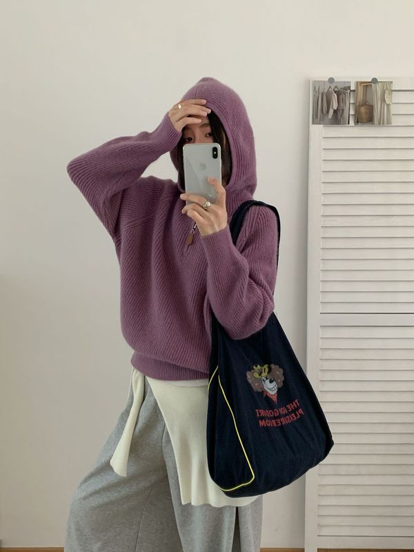 韩系百搭高级感超好看的套头连帽毛衣女秋冬新款内搭帽衫针织上衣|undefined