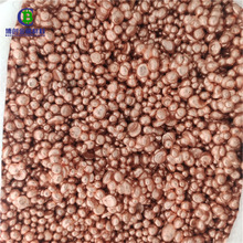 �̌W���Ќ���ßo�����~�� õ������늽�T2�t�~�� �S��ɫ���~��