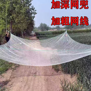 ����̧�W���~�W�������~�W���~���ؾW��ʽ̧�Wƽ���~�W