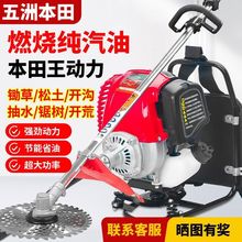汽油打草机五洲本田割草机背负式家用开荒打草松土除草机收割神器