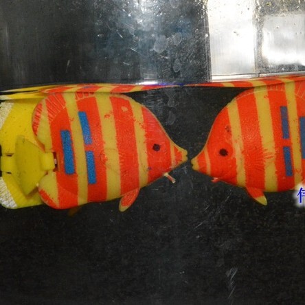 realistic aquarium decor