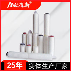 Pp膜マイクロホール折りたたみフィルター亲水性テトラフルオロエチレンptfe0.22um保安フィルターpp折りたたみフィルター
