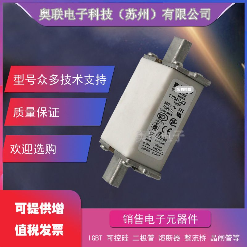 熔断器170M3817 170M3818 170M3819美国Bussmann