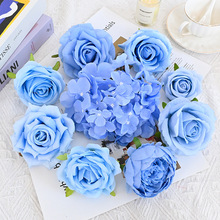 ���N�{ɫϵ���^�M��õ�彑����滨�{ɫ������c�����������OӋ��