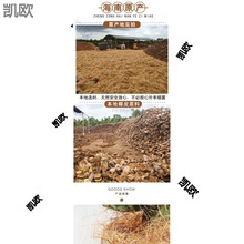 ����Ҭ�ؽzҬë���ܷNֲ������w��Ҭ�zҬ��ƤҬë�����b��B���x