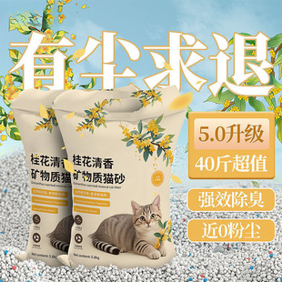 ؈ɰ���]��������������ľ���VɰС�׶�������b؈ɳ