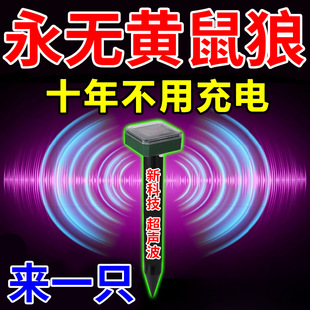 �S������s����̫��ܳ������Bֳ���B�u����S������ș����