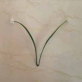 仿真水草把束花配件两片大春草带满天星装饰工艺品玩具假花春草花