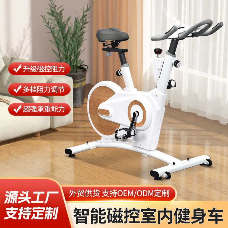 Intelligent Magnetically Controlled Exercise Bike, Gym Professional Training Equipment, Indoor Silent Exercise, Fat Loss and Sweating Spinning Bike