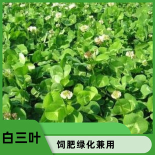 �M�����~���ļ�����N�Ӽt���~�ݲ��Ѱ����~���ш@�־G����ƺ����