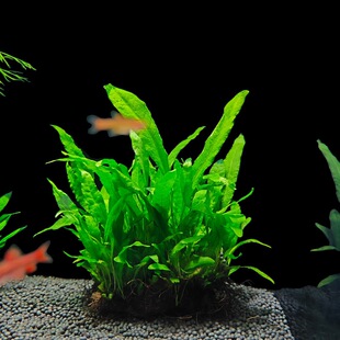 �ʹڲݴ��~��~¹�Ǽ��~�F�ʹ���ԑ���ˮ���к��~���쾰������