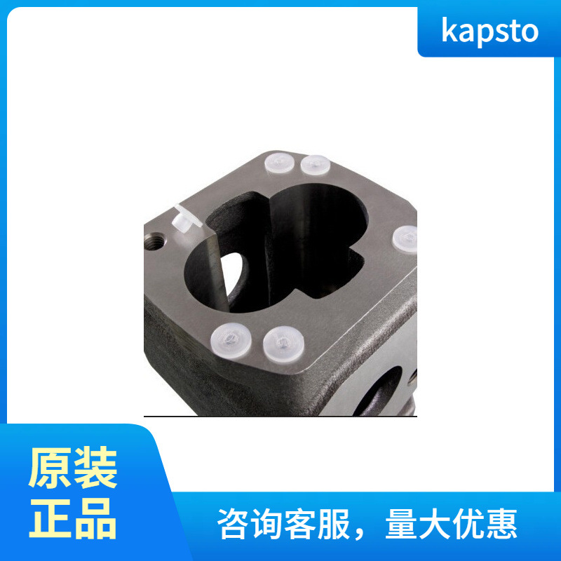 现货供应KAPSTO塑料堵头GPN300 F 25natur, F233natur