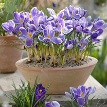 �ؼt���N����N���҃������Ի��ܷ��t����ͥ�@ˇ�ͺ�ֲ���������