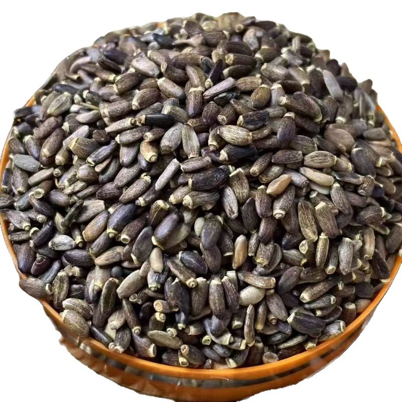 Milk Thistle Seed Shui Fei Ji Whole Dried Herb 500g Culinary Herbal Supply in use