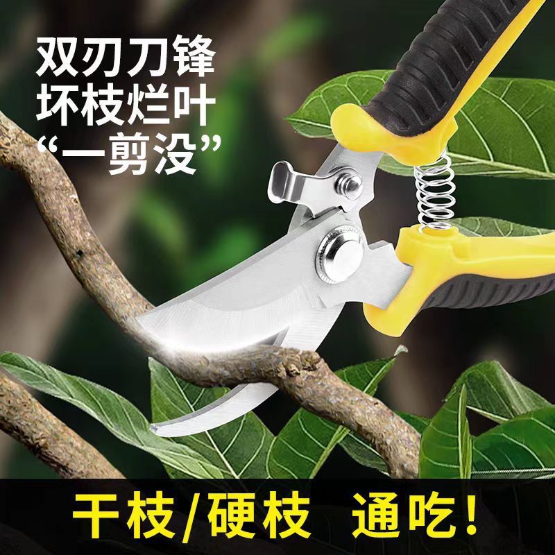 园林不锈钢省力果树剪刀修枝剪花剪粗枝剪园艺工具树枝剪花枝剪刀