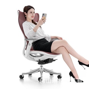Flamingo 760A Office Chair Luxury High-end Steel Mesh Executive Chair Modern New Manager Office Chair Meeting Chair