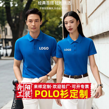 �羳�̄�polo��������I܇�g���䷭�I�̄չ���������͸�����T��