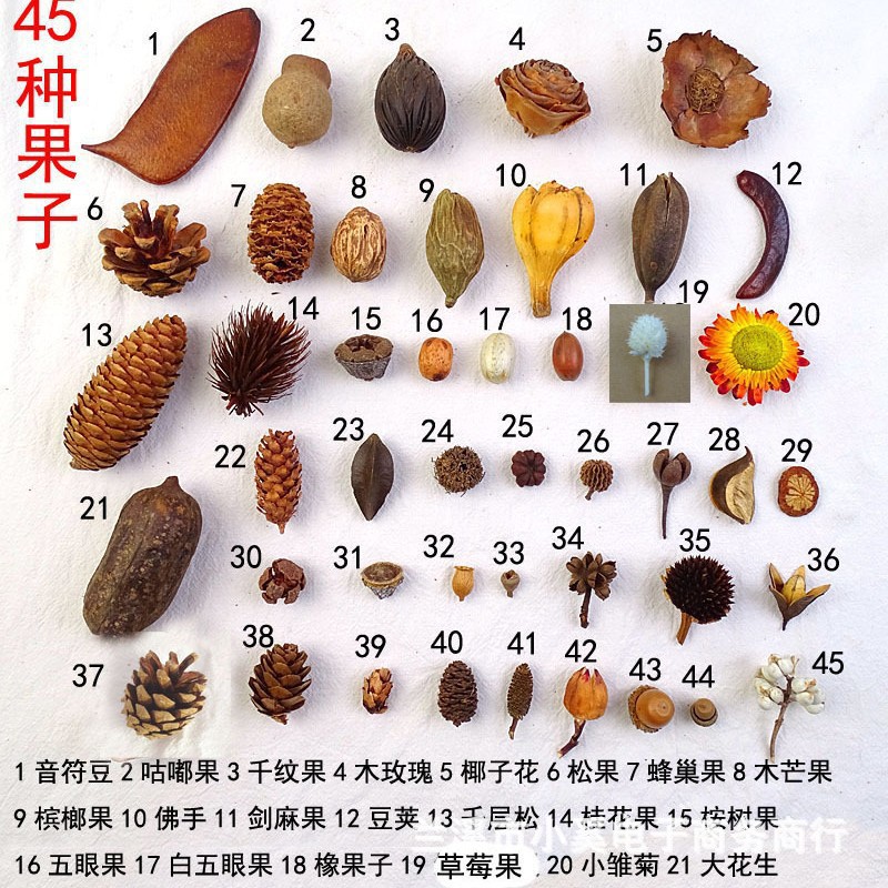 圣诞手工天然果子标本相框花环干花干果幼儿园装饰混搭diy材料包
