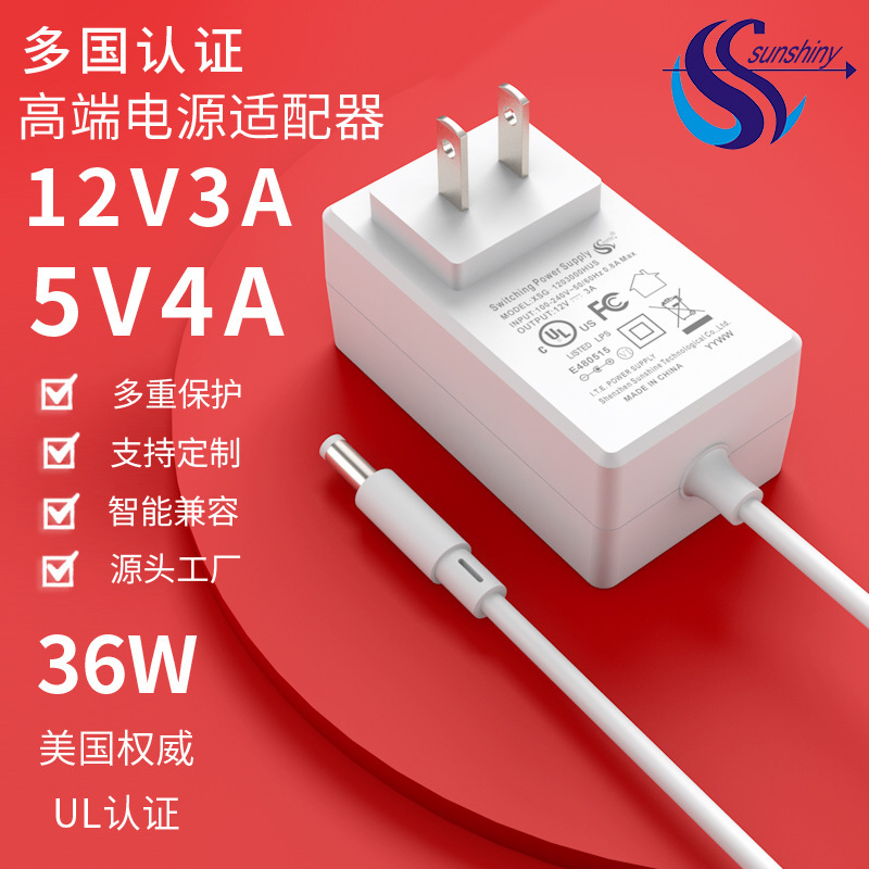 Manufacturer's Best-Selling 5V4A Power Adapter Led Display 12V3A Lamp with Charger Beauty Instrument Adapter