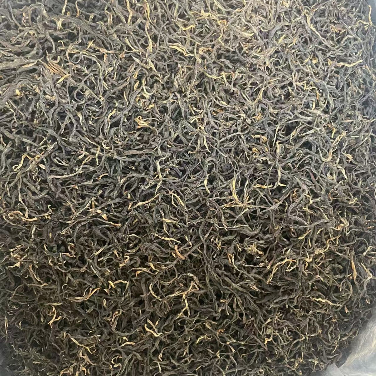 2025年云南勐海古树红茶碳焙散装批发花果香500克源头工厂家直销