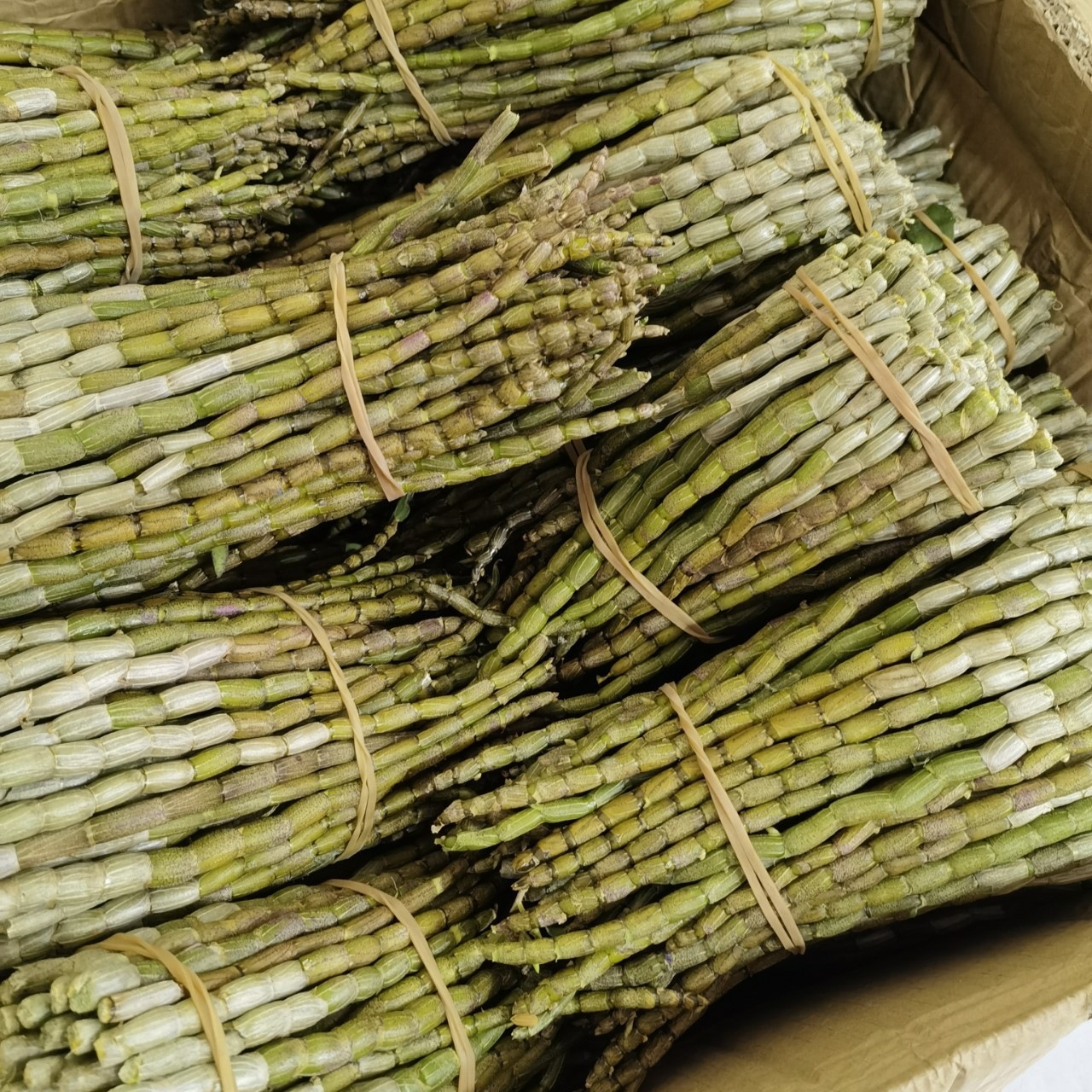 Fresh Tie Pi Shi Hu Dendrobium Stems 500g Five Year Huoshan Harvest Ready to Eat specifications