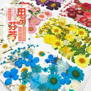 �滨�ɻ�diy���ϰ� ����Ѻ������ֲ��˱�ˮ�����z���|�֙C���[��