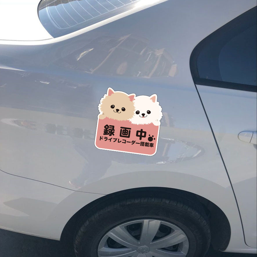 Imágenes de automóviles anti-ultravioleta exportadas de Japón etiquetas de película reflectante de película de pintura de PVC resistente al sol