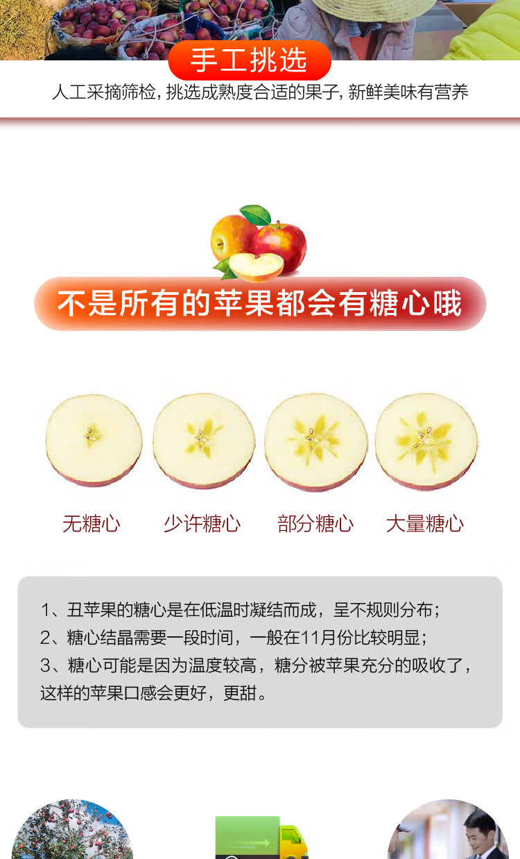 一键复制_20221007120324