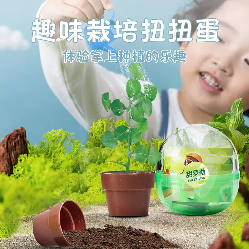 Ecoey扭扭蛋玩具批发盲盒扭蛋球儿童益智手工植物小盆栽盲盒潮流