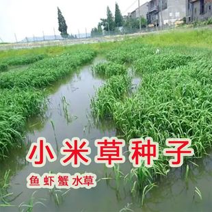 С�ײݷN��ˮ���~�rз������ȸ�~�޺������ �߮a��ˮ���ͺ�����