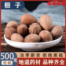 ��ș����� ����� ��Ʒ ��Ӱ��] ����� ľ�����ɽ�� ������