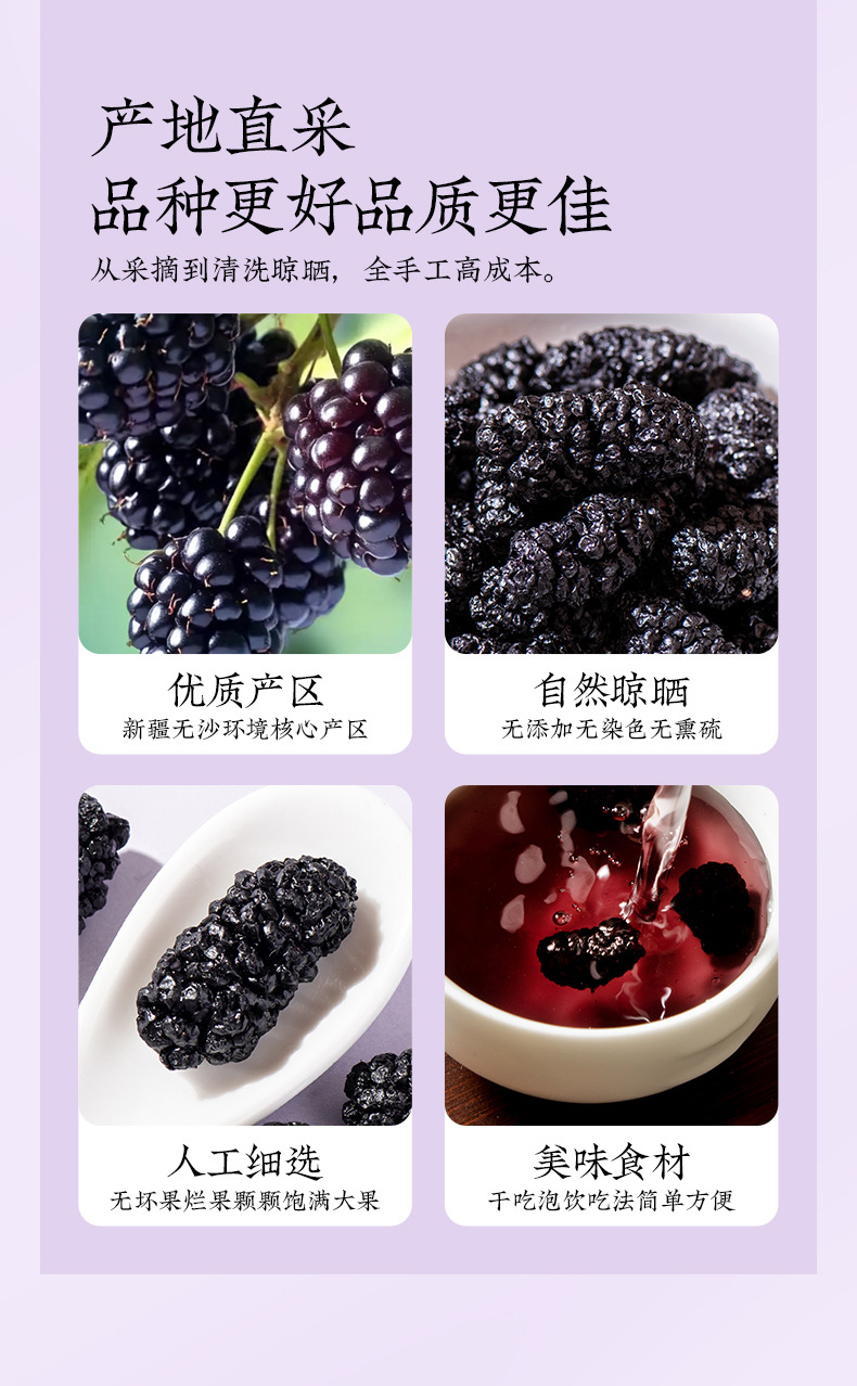 Dried Mulberry Fruit Sang Shen Zi Large Berries Natural Snack and Herbal Tea Ingredient 500g Bag in use