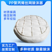 定制PP丝网除沫器  制药塔罐气液分离用除雾器嵌入式汽液过滤网
