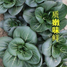 Kڴ^˷Nԭb~~_Ϻ߲˷N