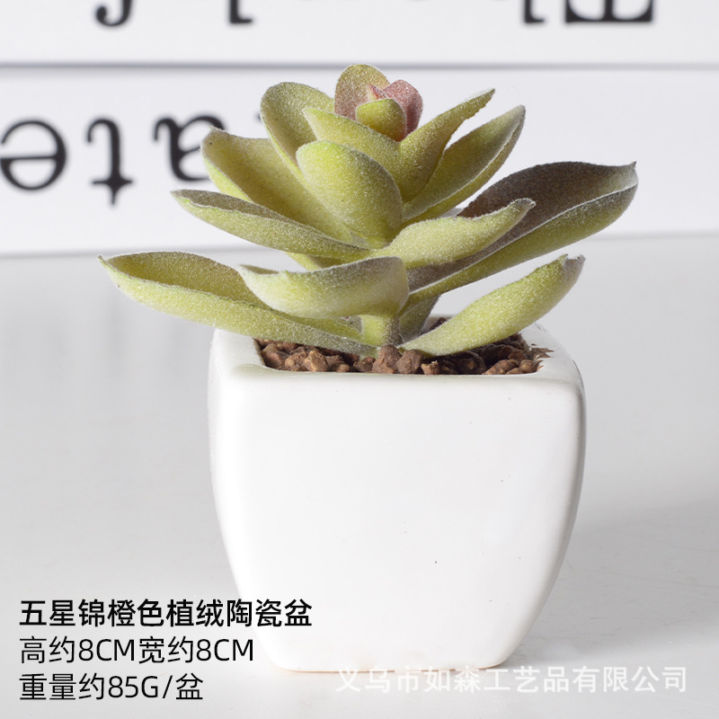Simulación de cerámica bonsai de carne doméstica decoración de escritorio de oficina plantación verde maceta props de disparo maceta combinada artificial image 41