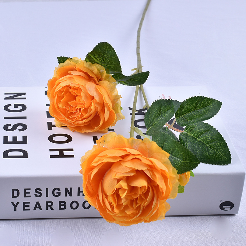 3 peonía extranjera naranja