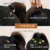 Ponytail, small crab pin, hairpins, shark, hair accessory, hairgrip, South Korea, clips included