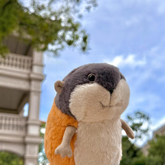国境を越えた新製品スポットアライグマぬいぐるみ人形ハムスター人形アライグマモグラ誕生日おもちゃ