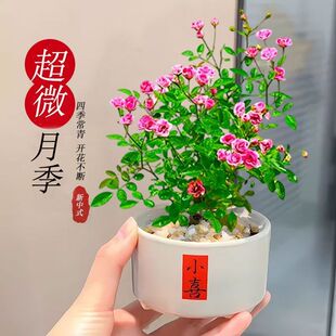 ���¼�С�����ļ����B�͏d��������k���ҹ�λ��w�Gֲ���҃��辰