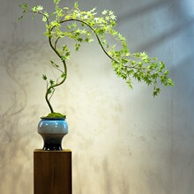 流泉枫绿植假花古风新中式茶室装饰禅意玄关摆件小型盆景