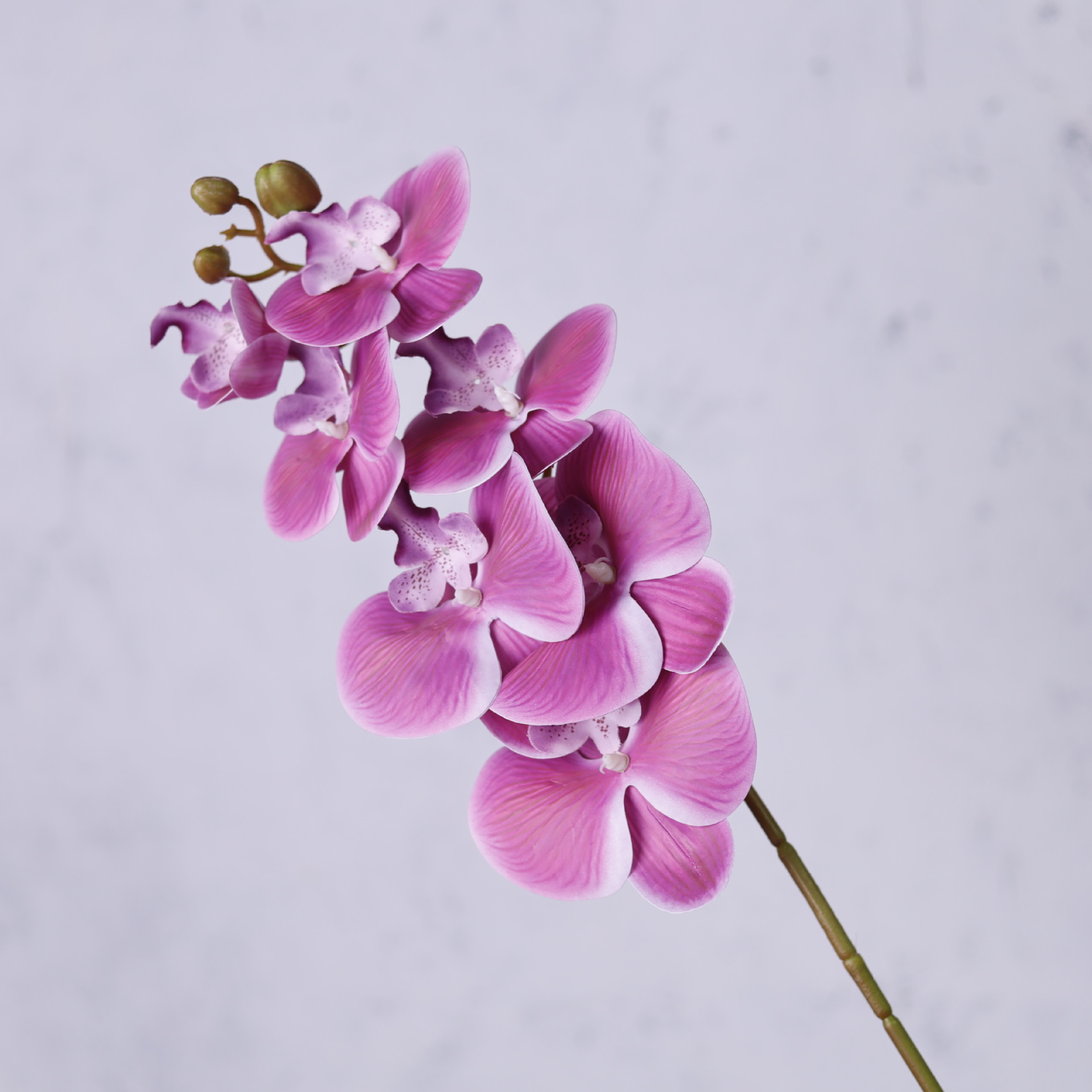 Impresión 3D de 7 cabezas de orquídeas mariposa flor de decoración de flores de alto nivel flor de nicho decoración floral decoración de sala de estar