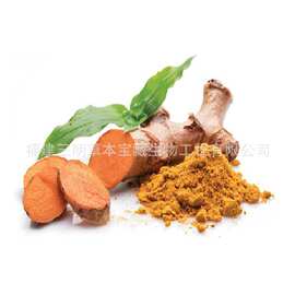 Extract of turmeric姜黄提取物 姜黄粉Curcuma Longa Powder批发