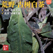 云南荒野白米古树白茶散装批发2025年头春大叶老树散茶500g